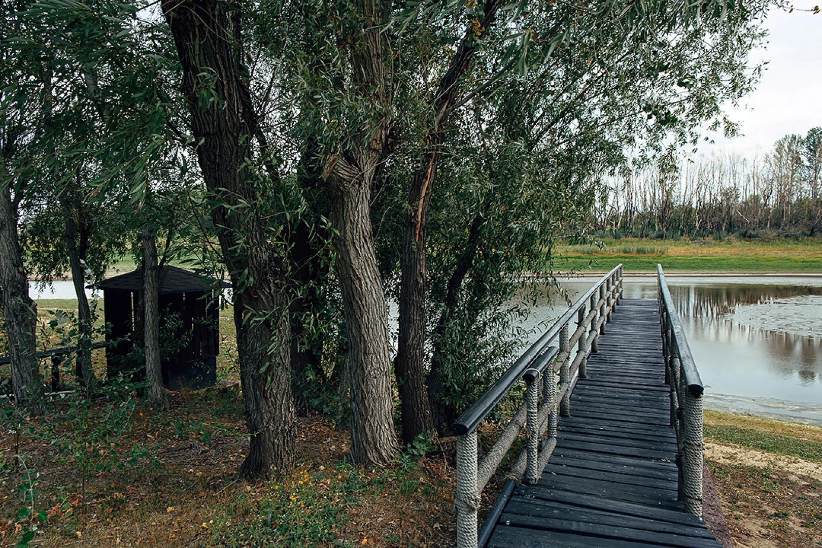 Заимка (Димитровский)