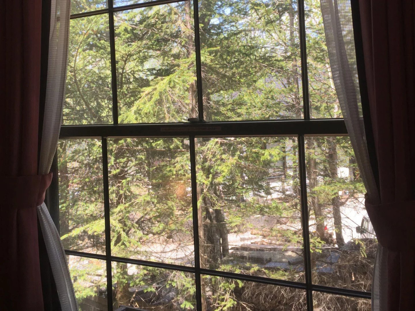 Hotel Shirakabako Sakaeen