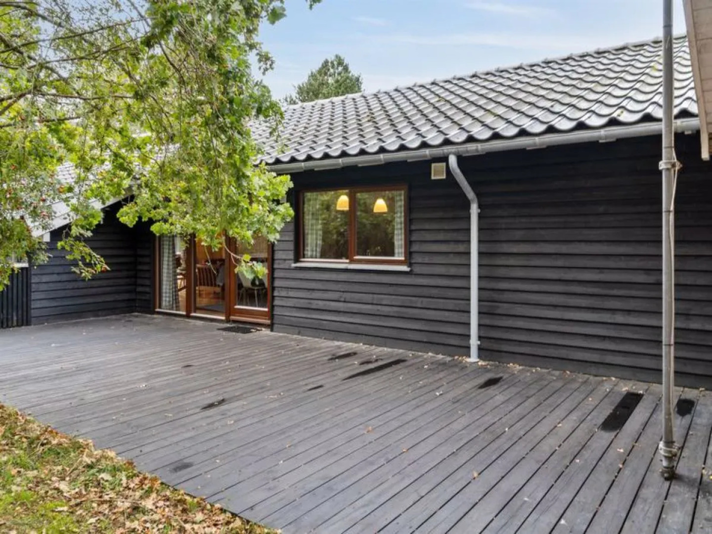 "Wilgrib" - 400m from the sea in Sealand