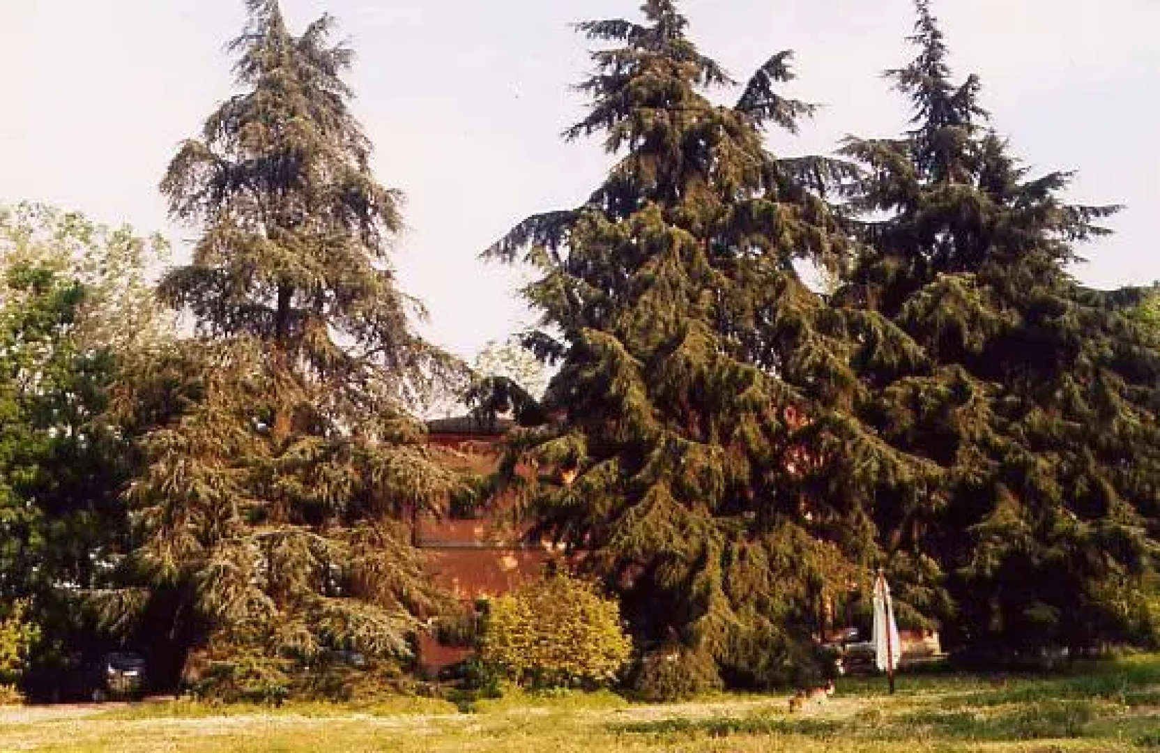 Bed & Breakfast Camomilla