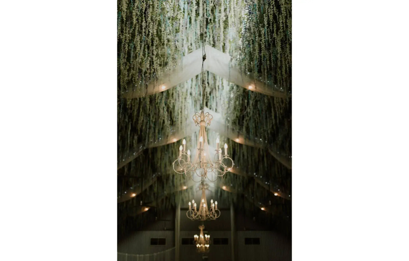 The Farmhouse at Blue Wren Wines