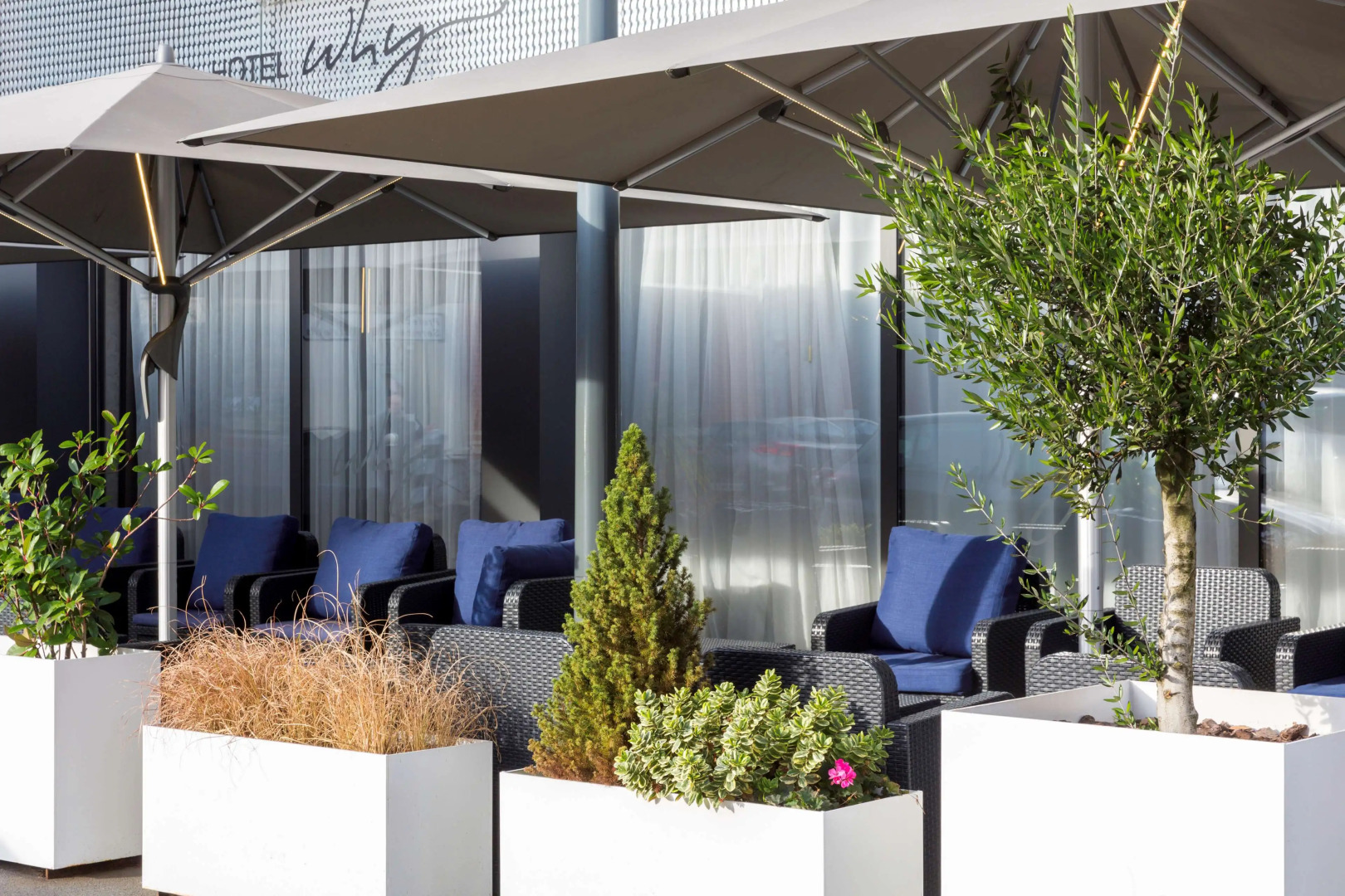 Best Western Premier Why Hotel