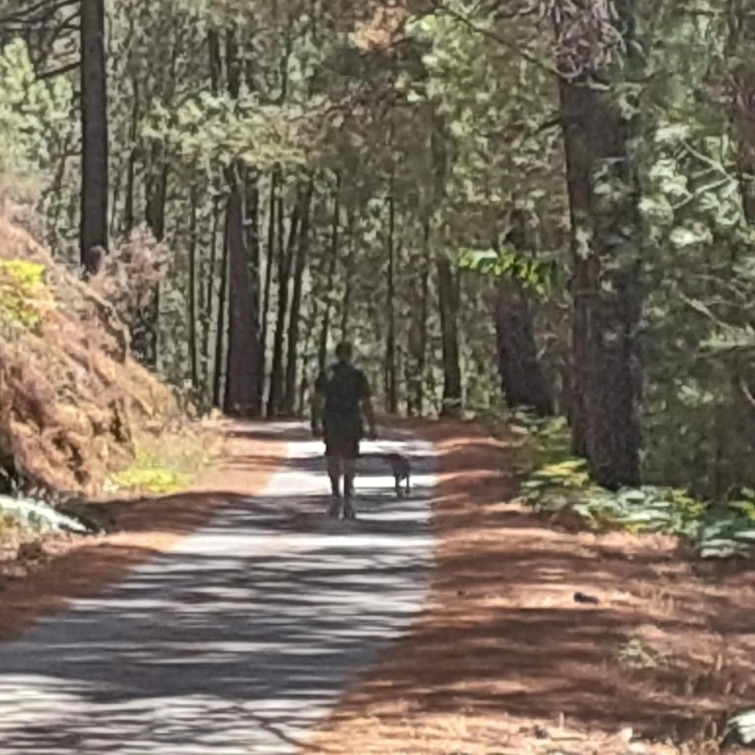Puente Canto de Gredos