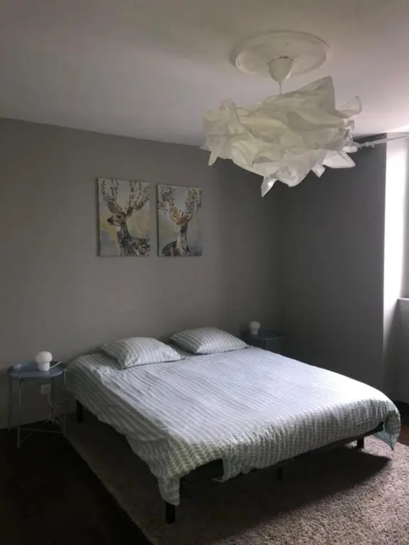 Grand appartement 3 chambres Poitiers coeur de ville