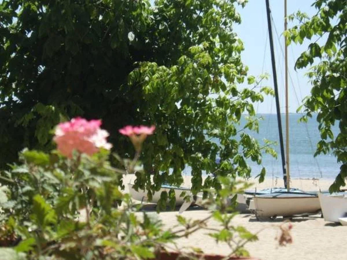 Locations Saint Palais sur Mer