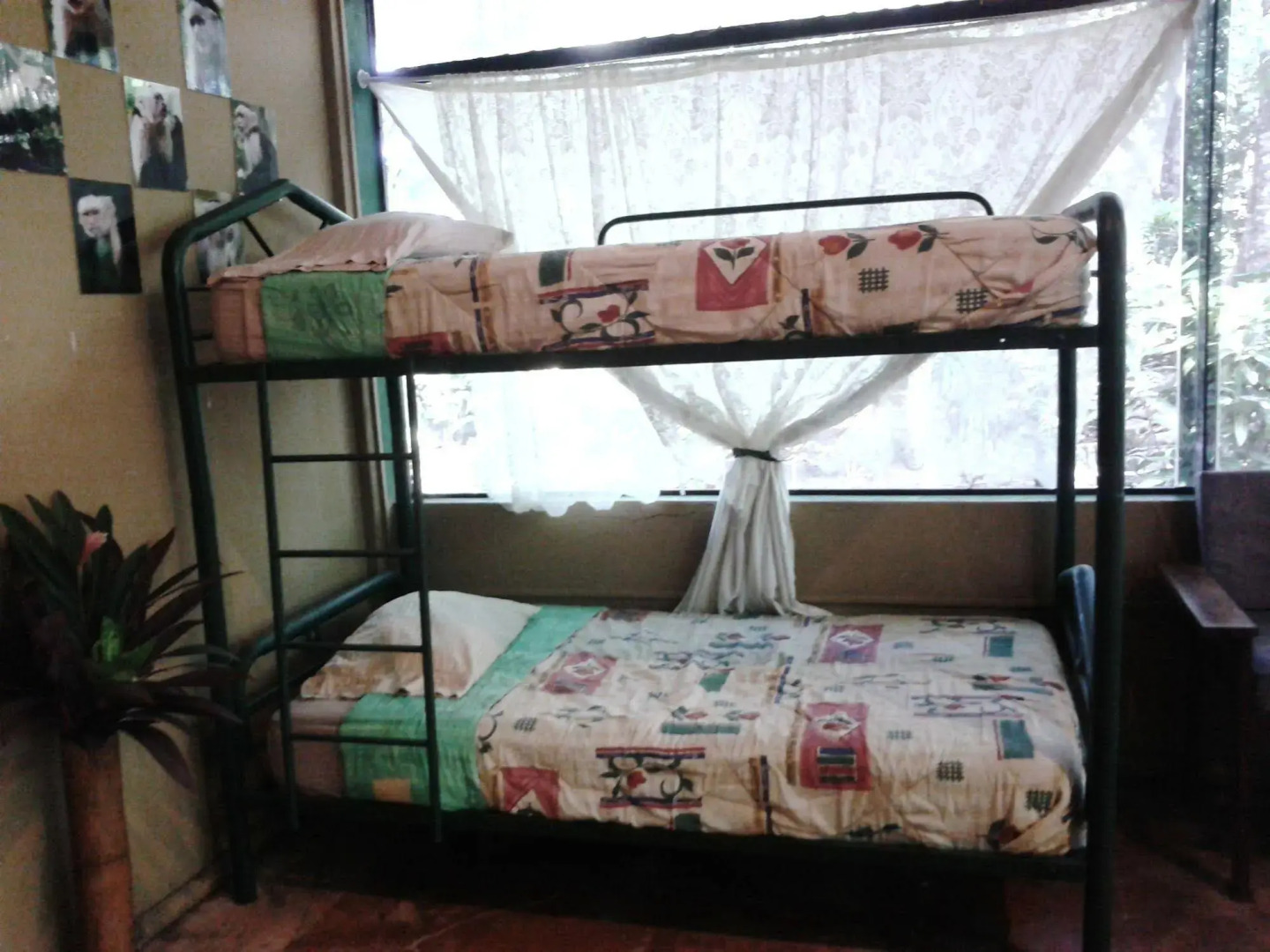 Chosa Manglar Nature Retreat