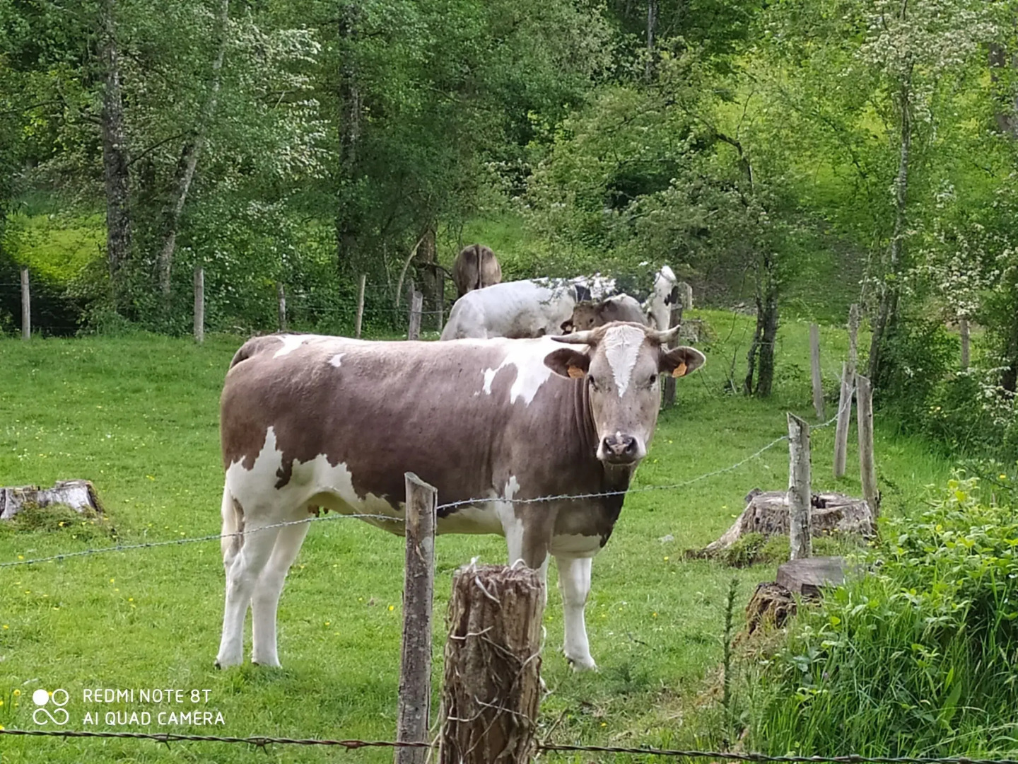 Chambres d'hôtes La Chaussée d'Olivet
