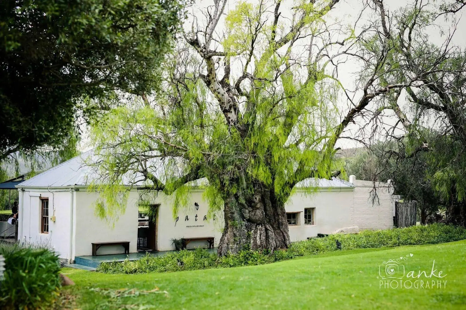 Swartberg Country Manor