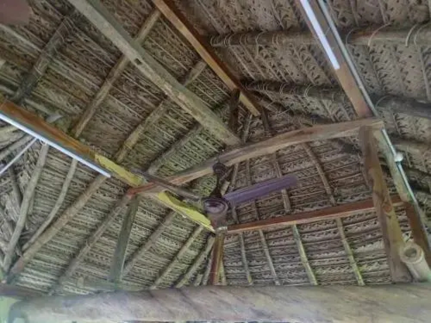 Paddy Homestay