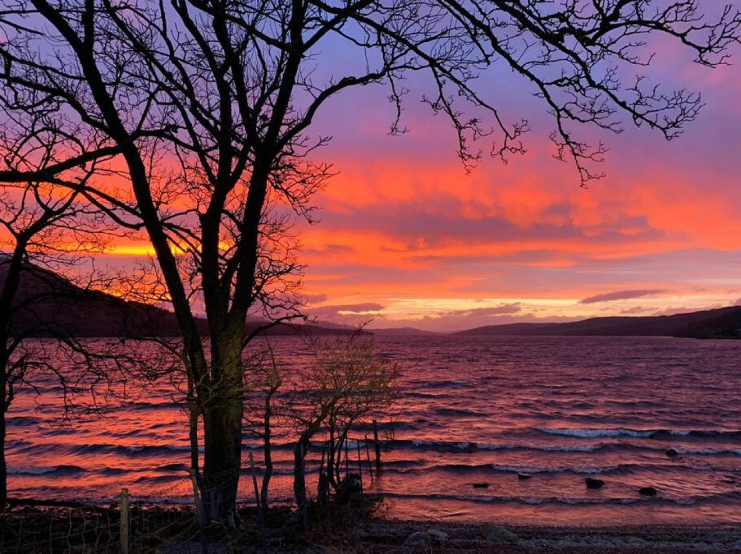 Loch Rannoch Highland Club Highland Lodge 44