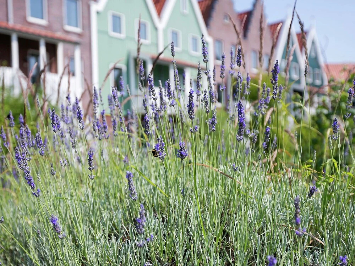 Restyled Holiday Home in Volendam Style on the Markermeer