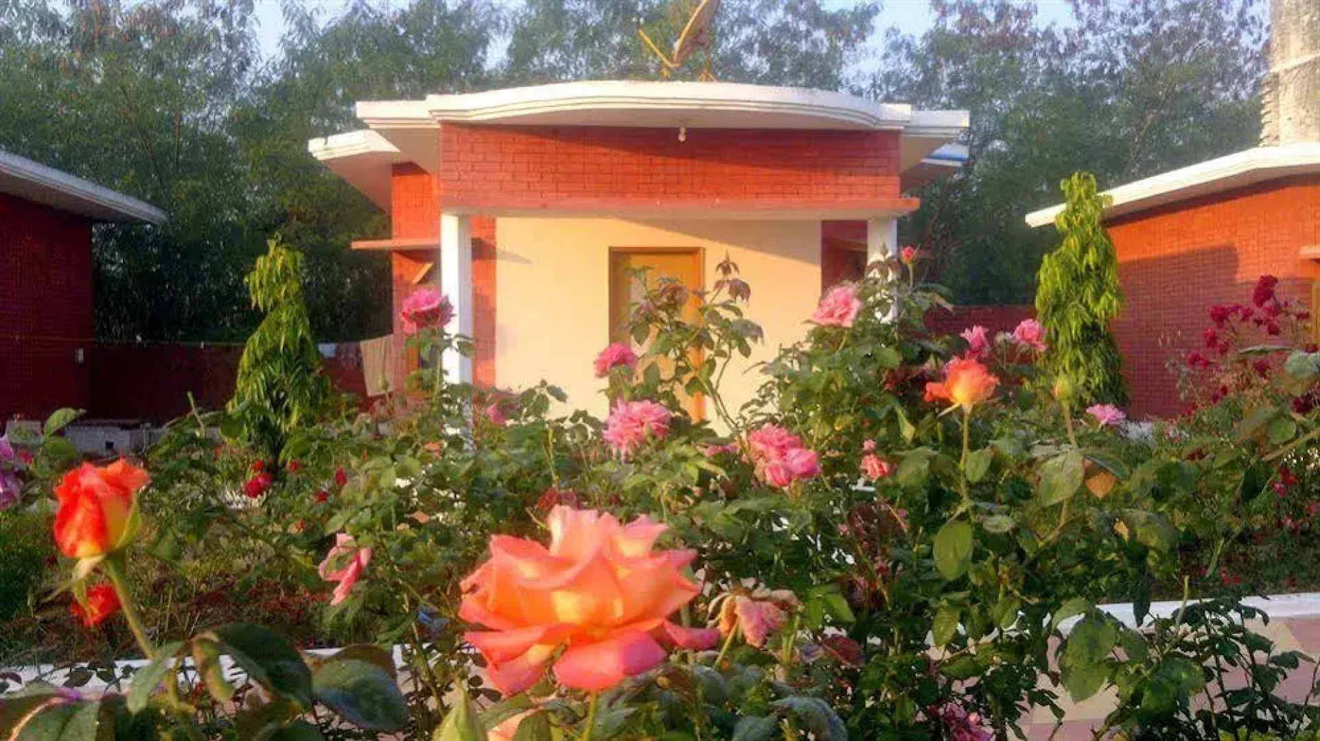 Shri Krishna Jungle Resort