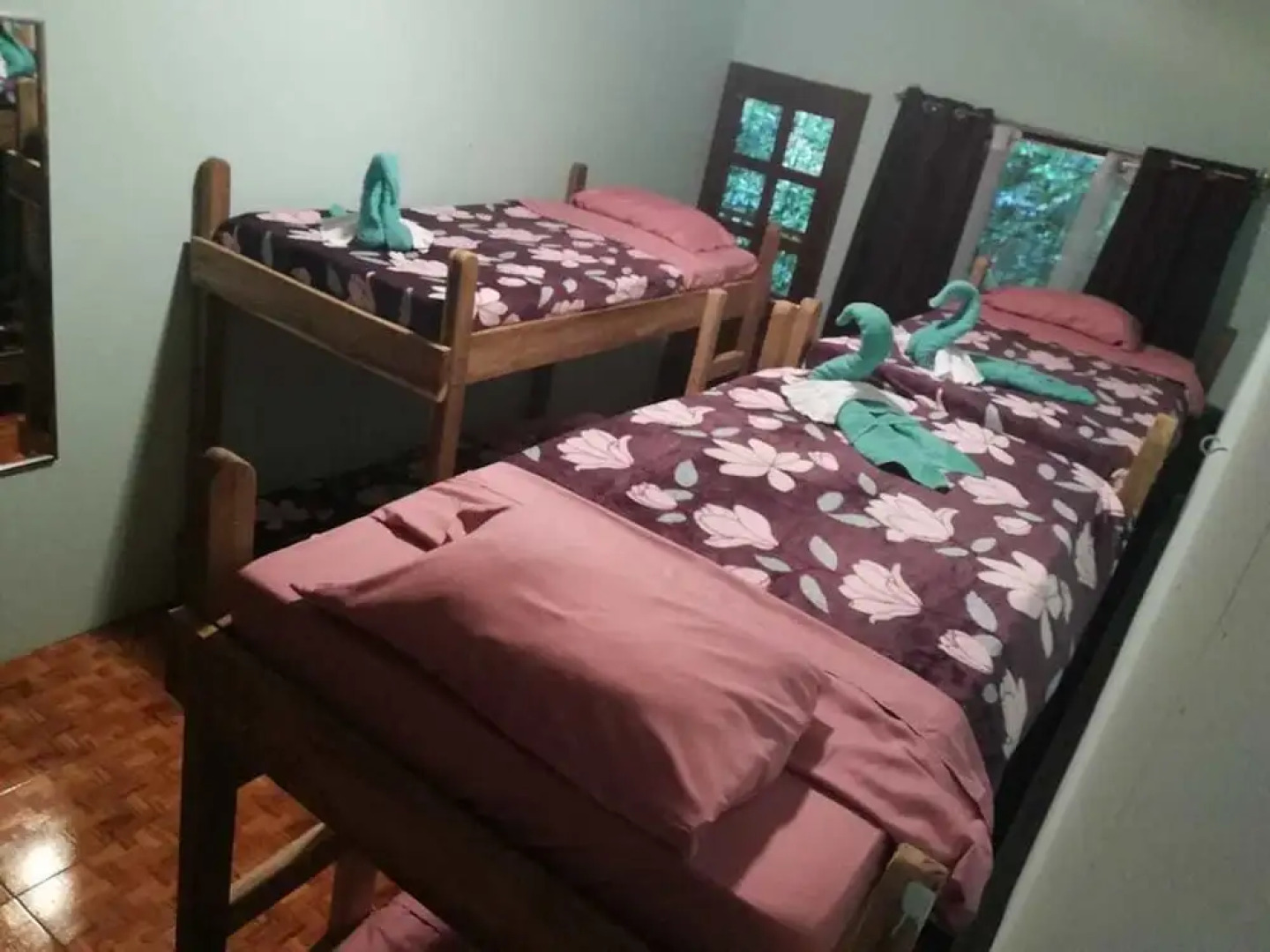 Blue Morpho - Hostel