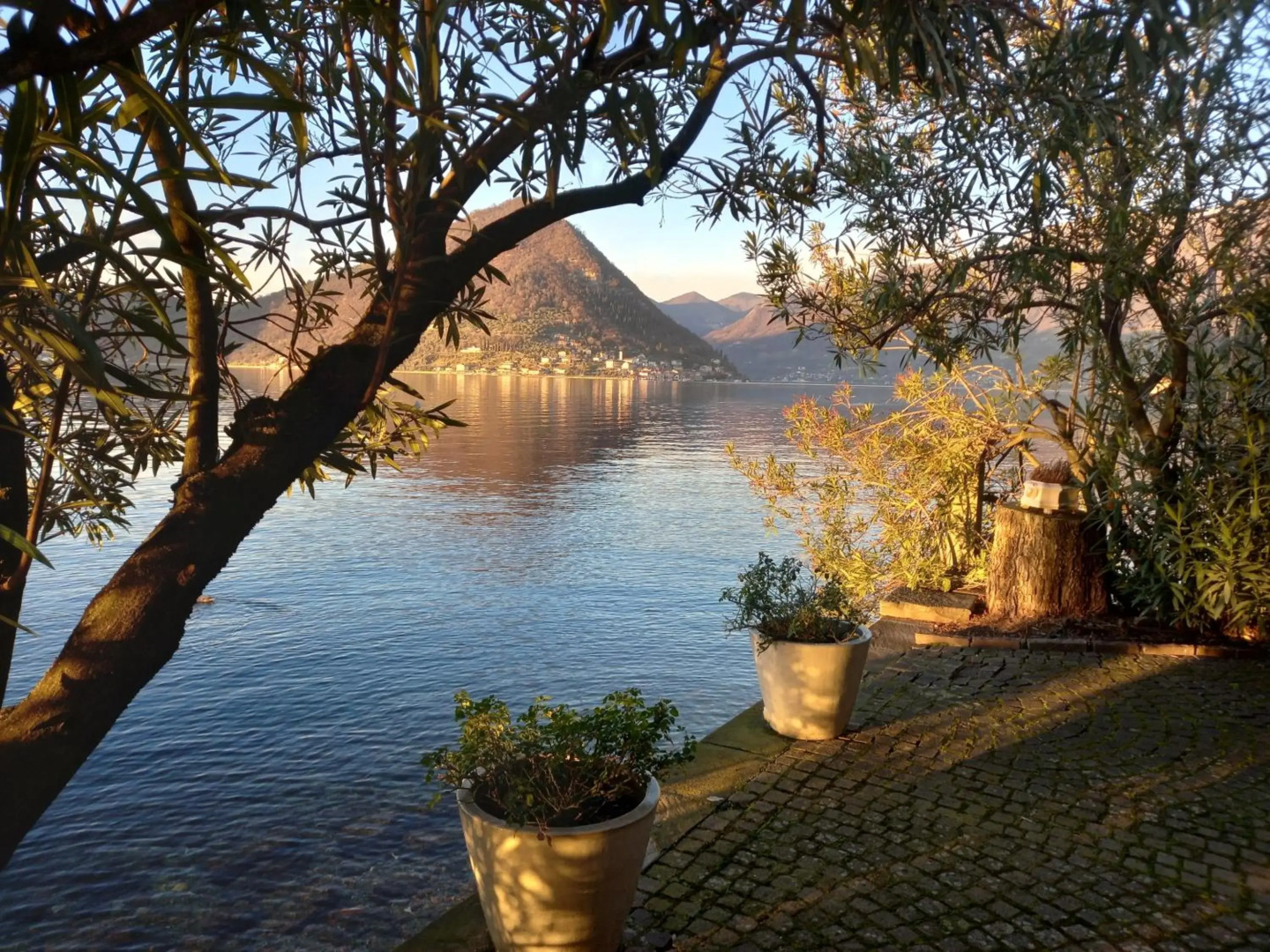 L'Oleandro Sul Lago d'Iseo B&B