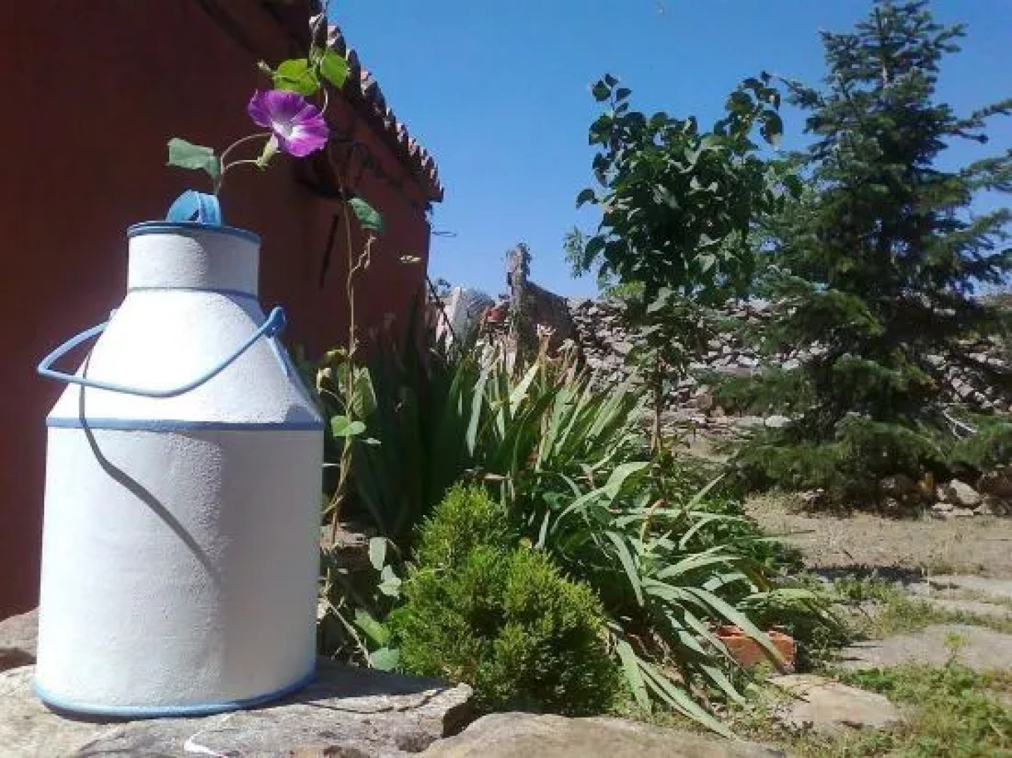 Casa Rural Pájaro Bobo