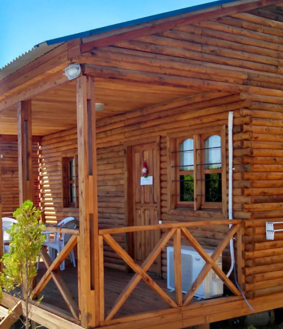 Verde y Sol en la Colonia