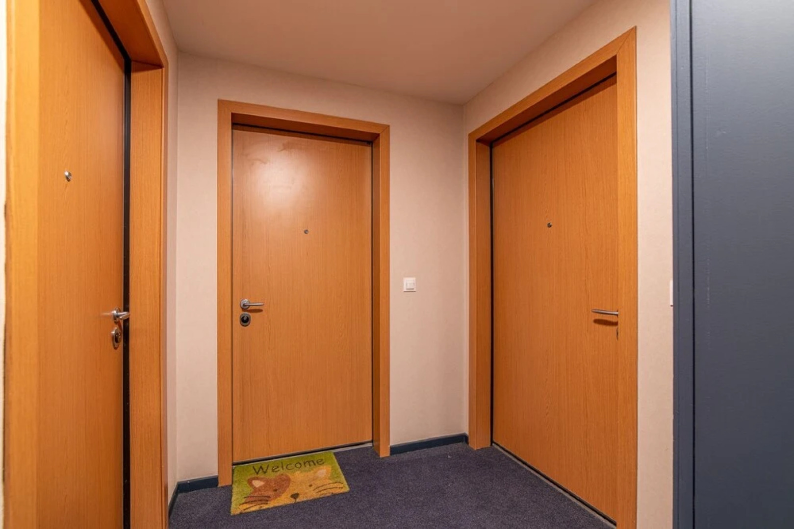 Les Passerelles Appartement privé