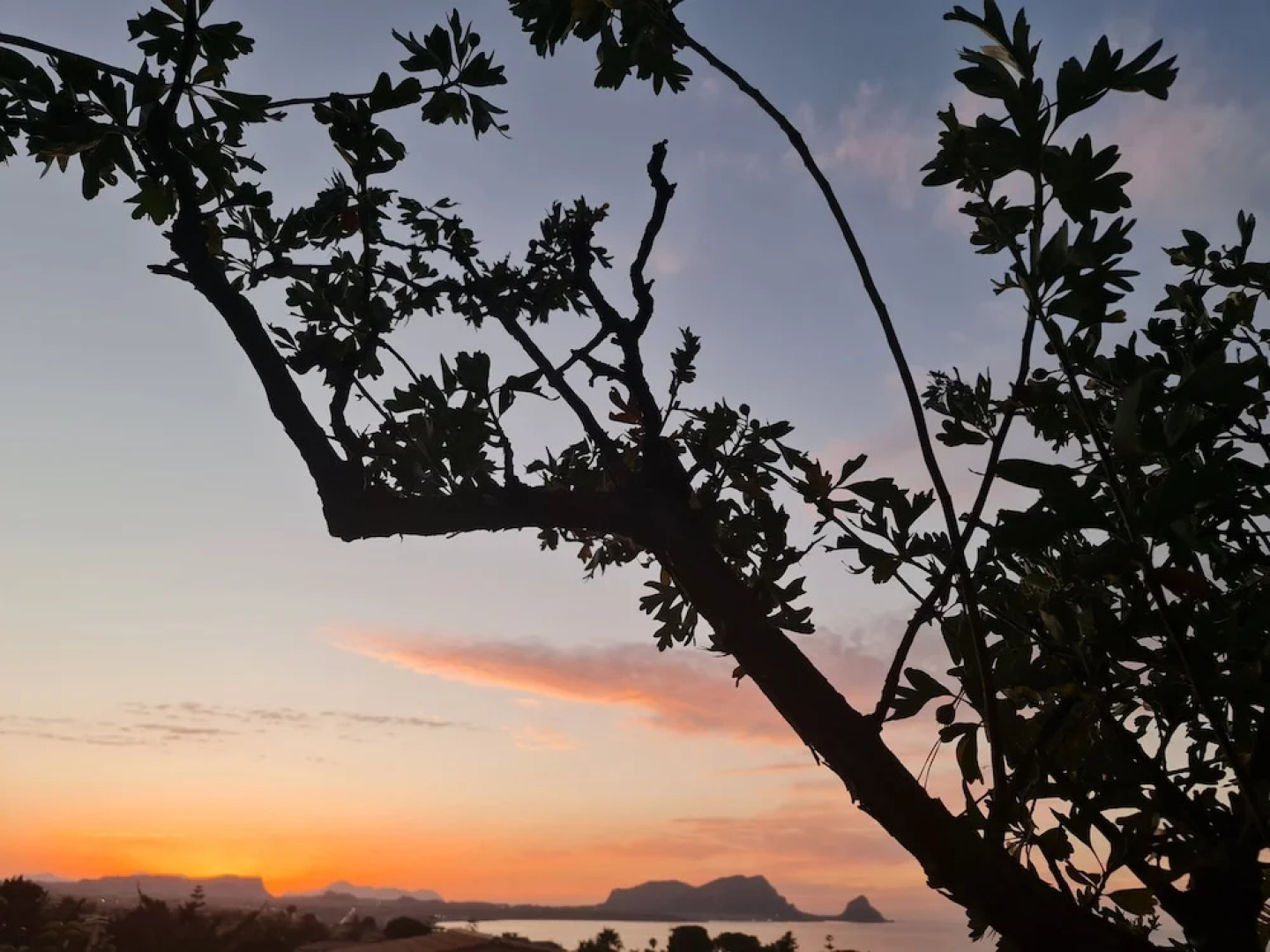 Burdi House Apartment Surrounded by Greenery and Tranquility Near the sea