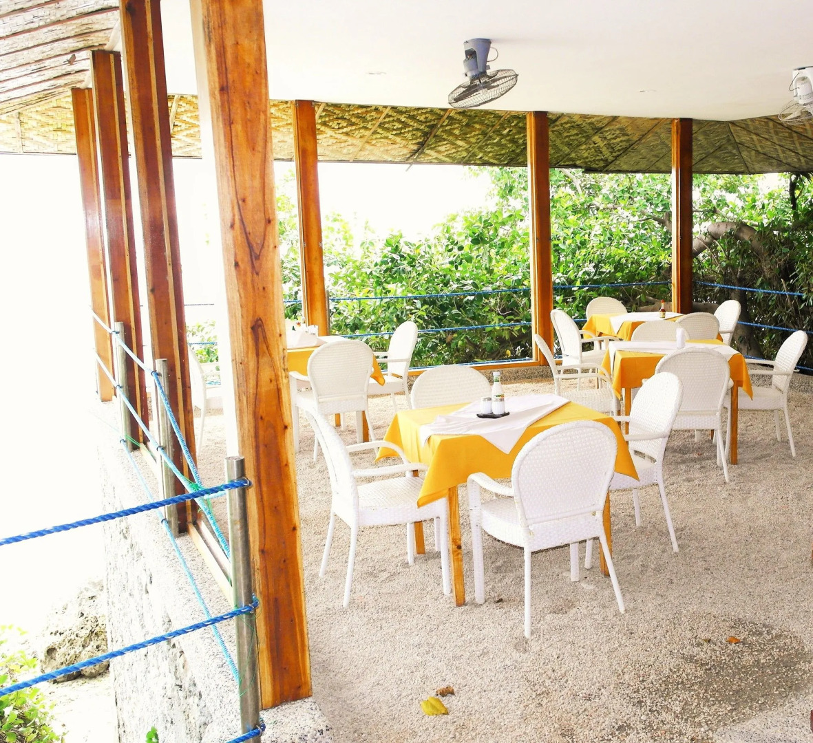 Quo Vadis Dive Resort Moalboal