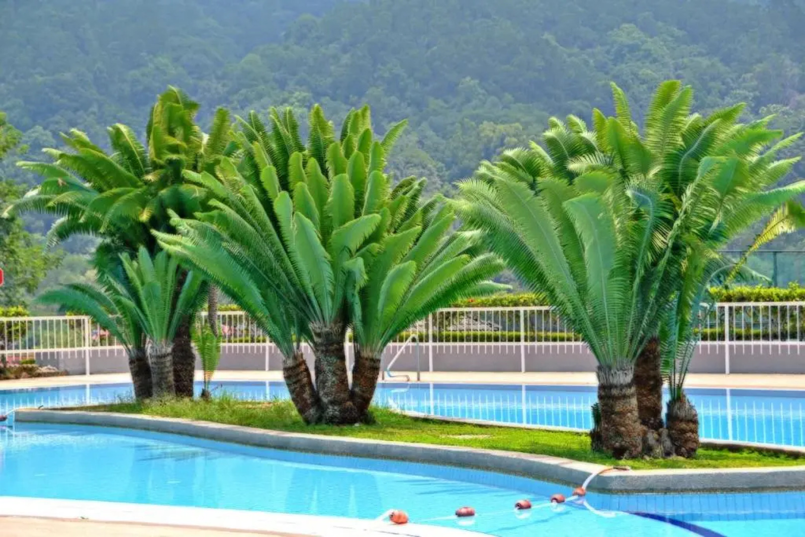 Meru Suites at Meru Valley Resort