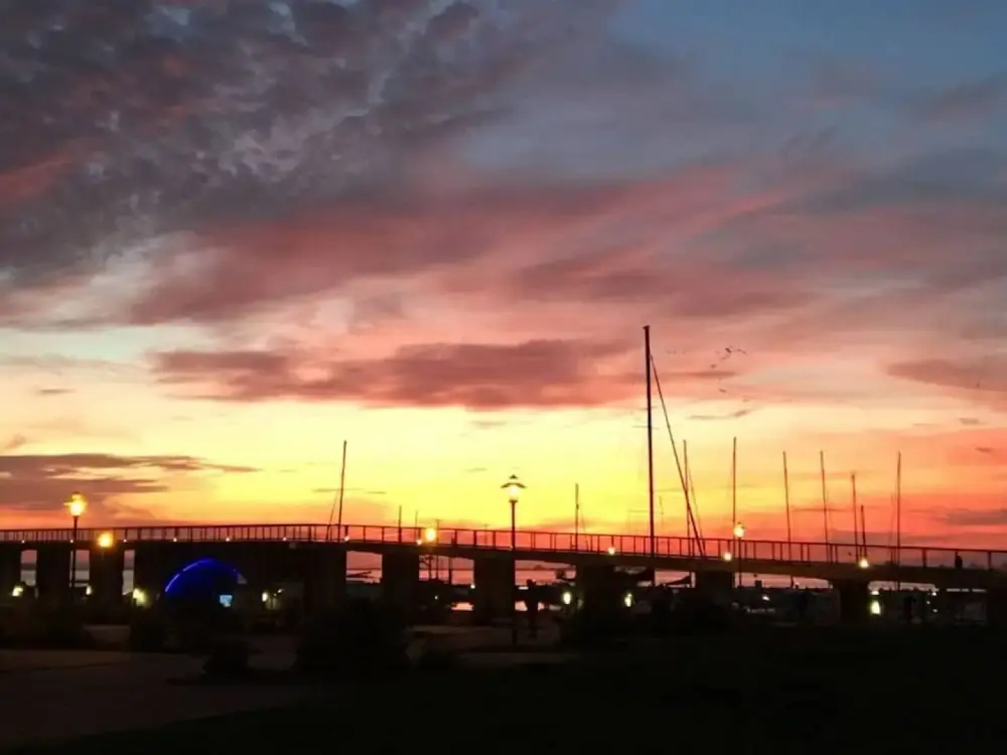 Black-headed Gull Comfortable Holiday Residence