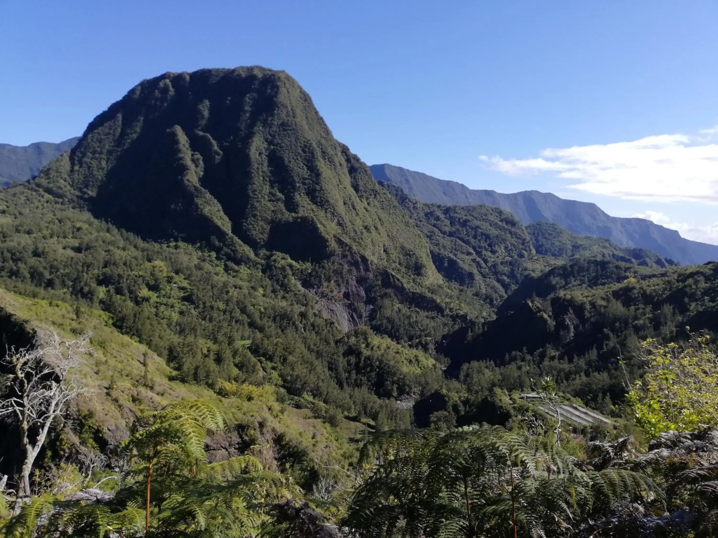 Meublé de tourisme " Le Jasmin Étoilé"- Hell-Bourg - SALAZIE