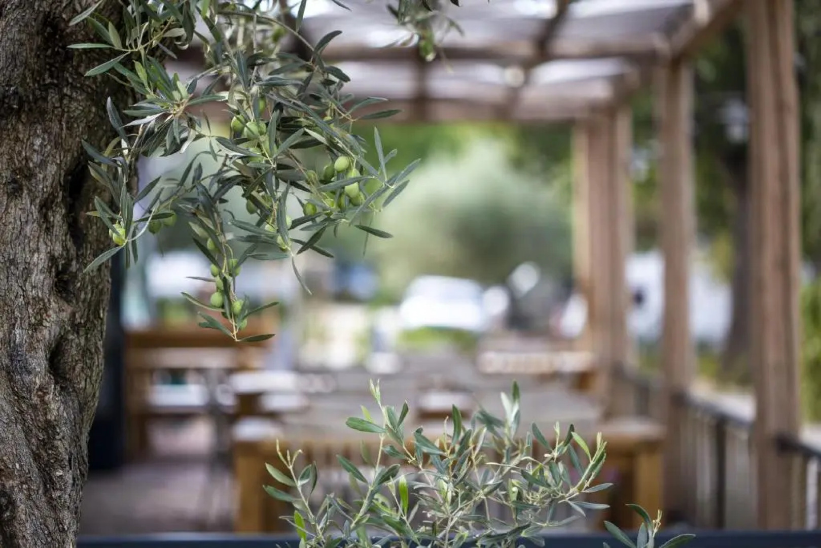 Stone house Chiara Seaview