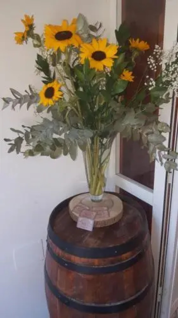 Ziggy's Mountain Retreat