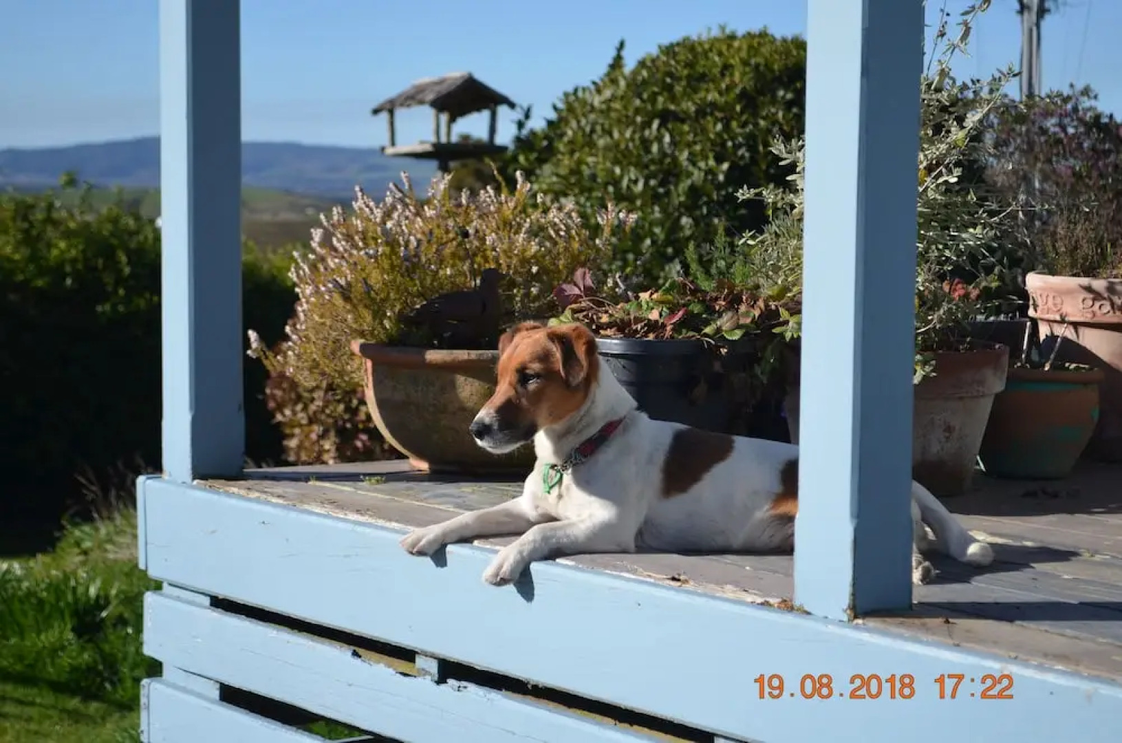 The Cloan At The Catlins