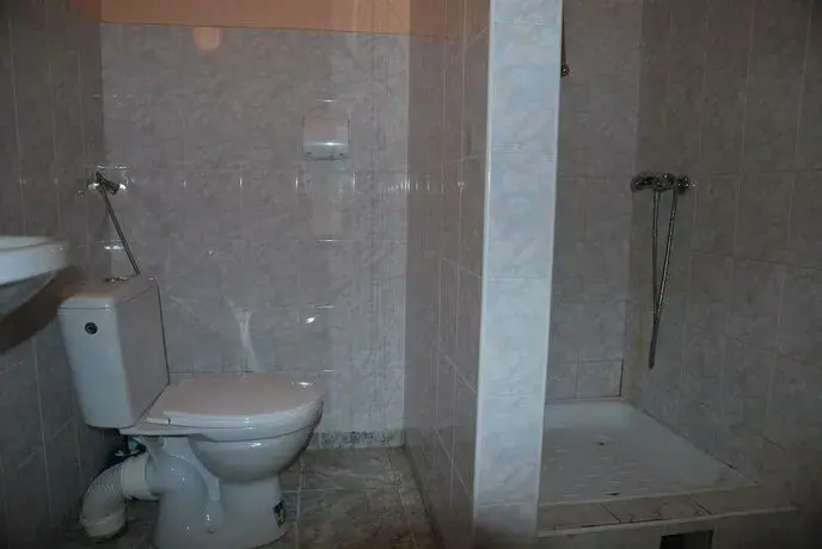 Palac w Czyzowie szlacheckim