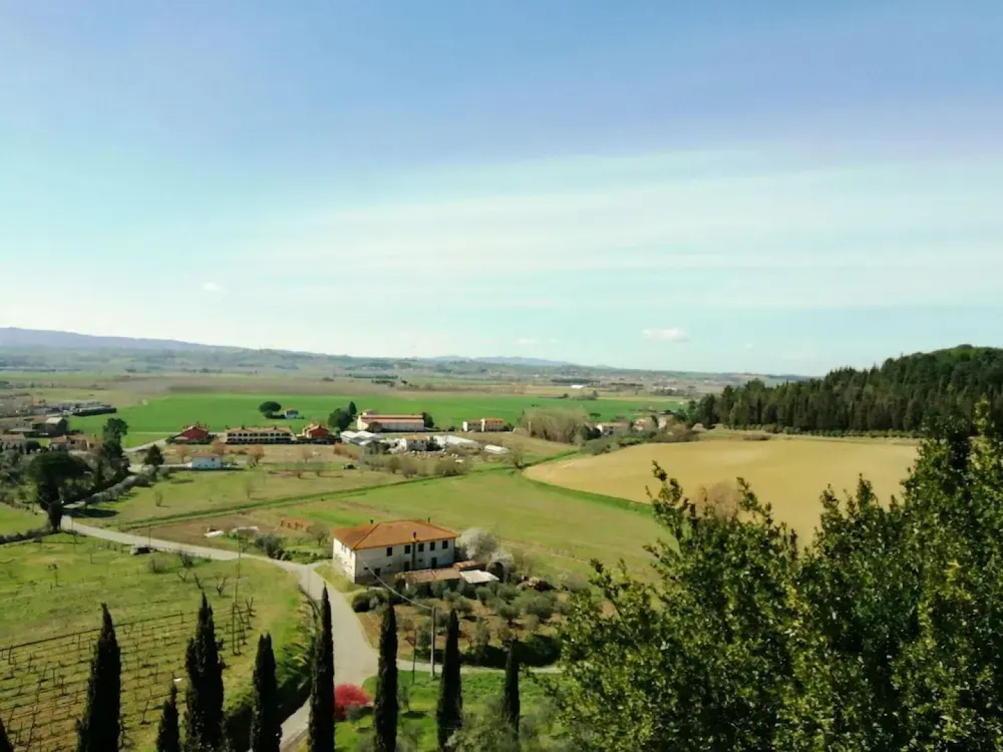 Spacious Cottage in Palaia With Private Pool