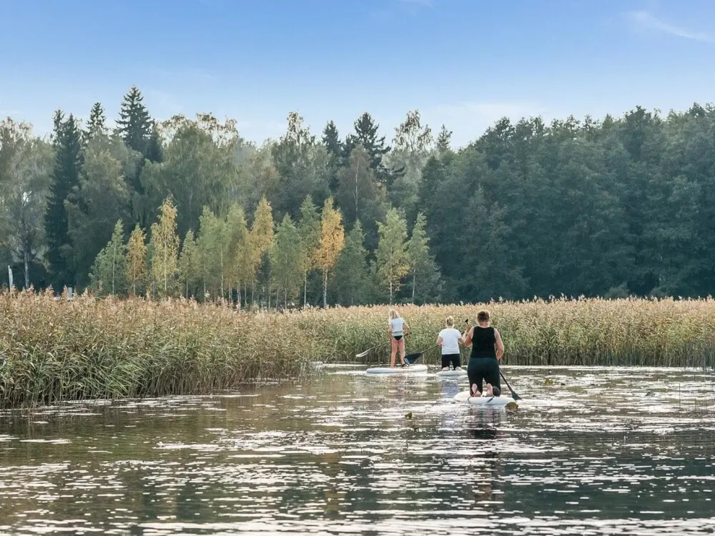 C Porvoo in Porvoo With 1 Bedrooms