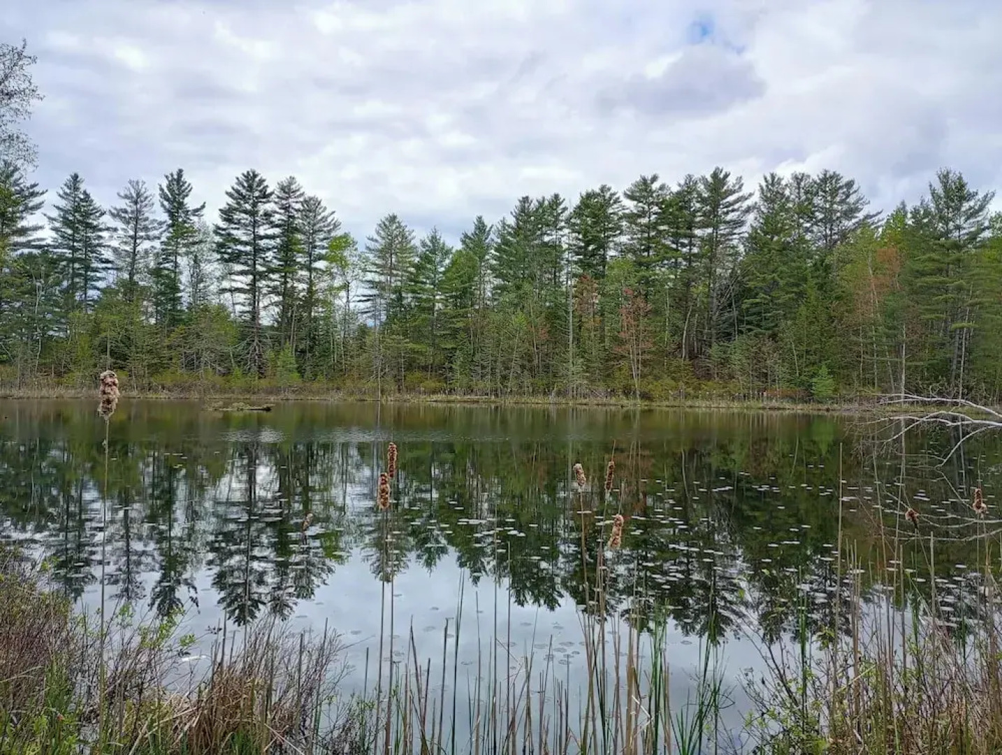 The Saints Suites at NCCC