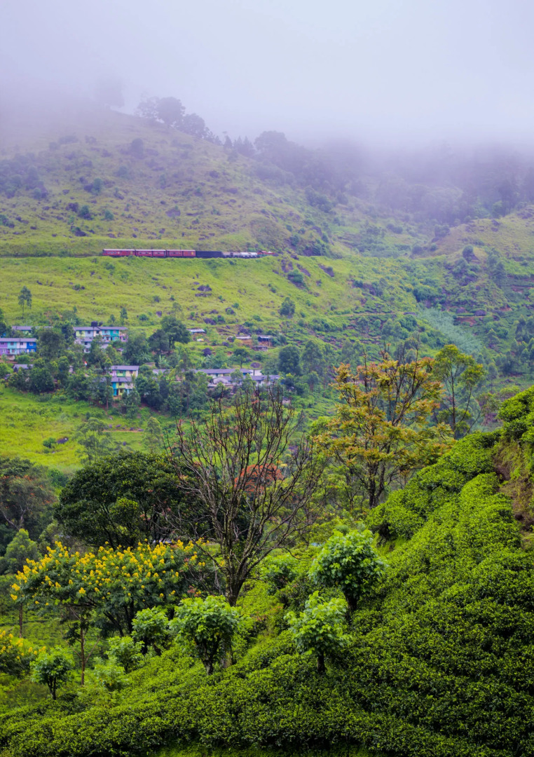 The Greendale Bungalow
