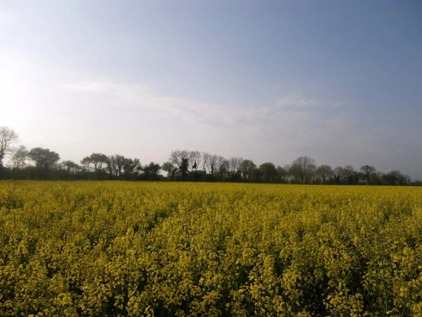 South Norfolk Guest House