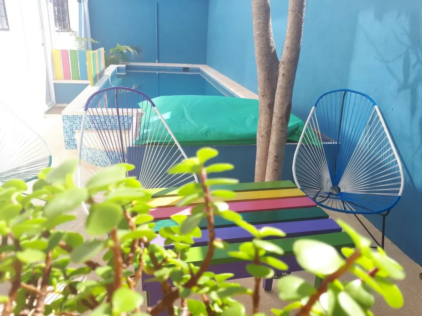 Vainilla B&B Mexico