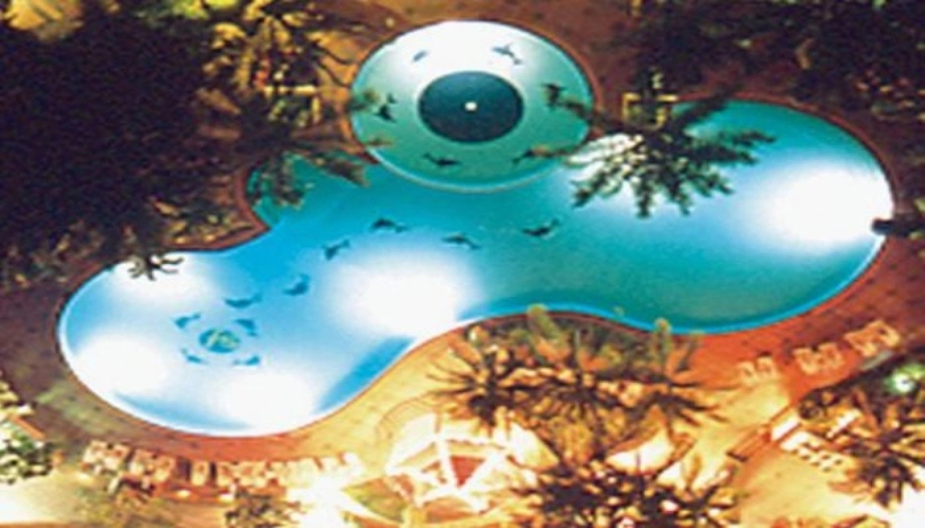 Springfield Beach Resort