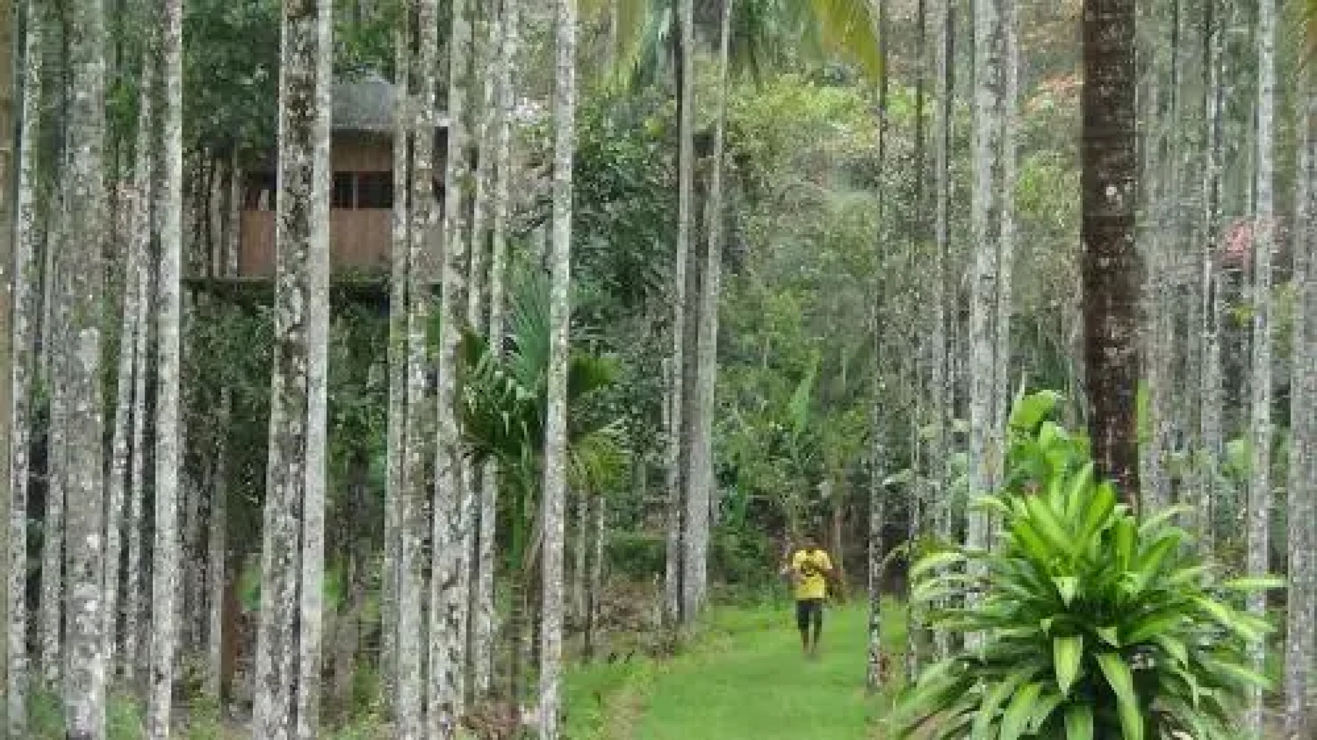 Pappys Nest Holiday Resort