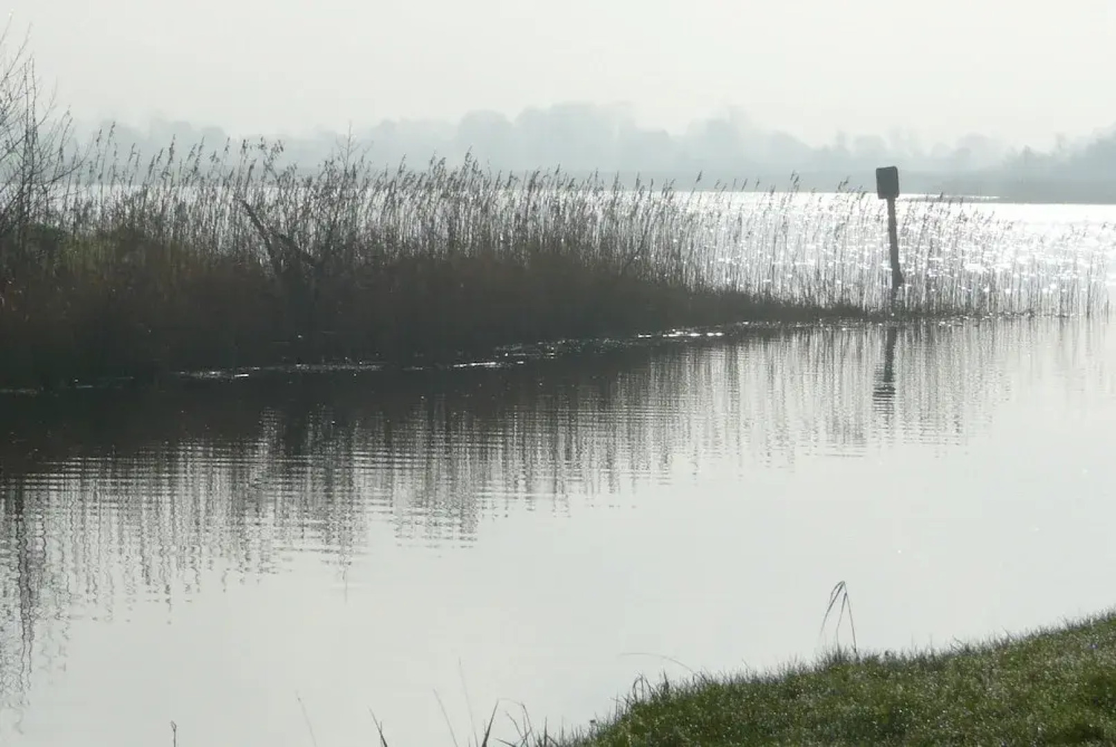 Inviting 4-bed House in Strokestown