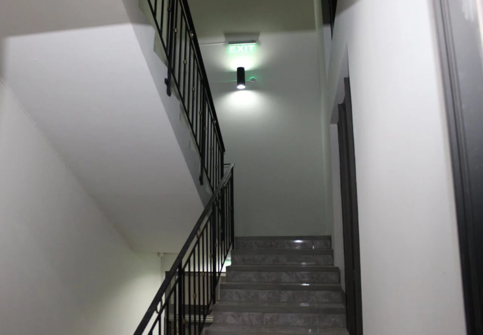 L'Oiseau de l'Océan