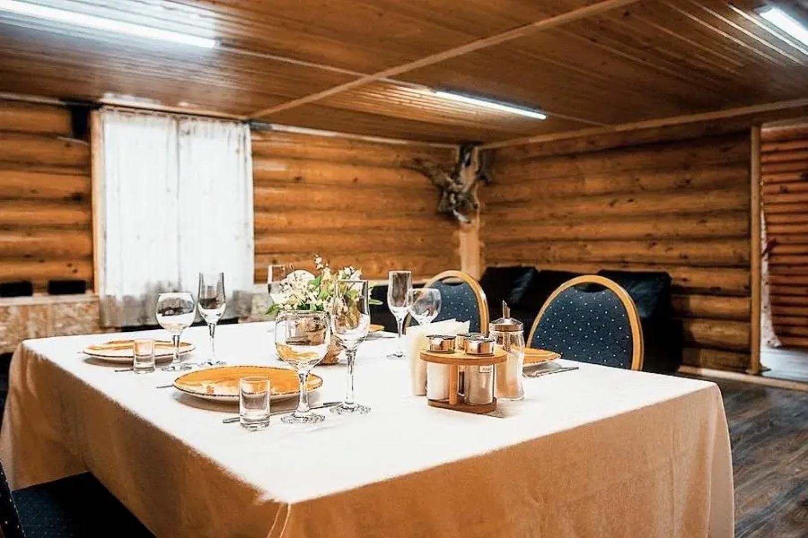 Сова Сойкино