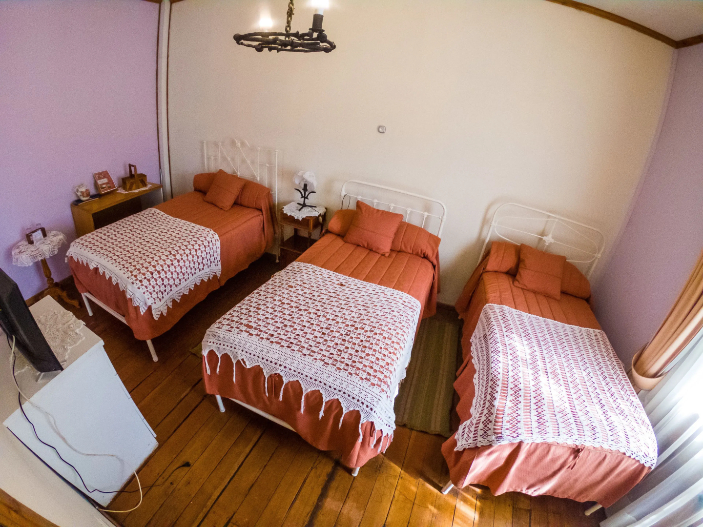 Hotel Halley