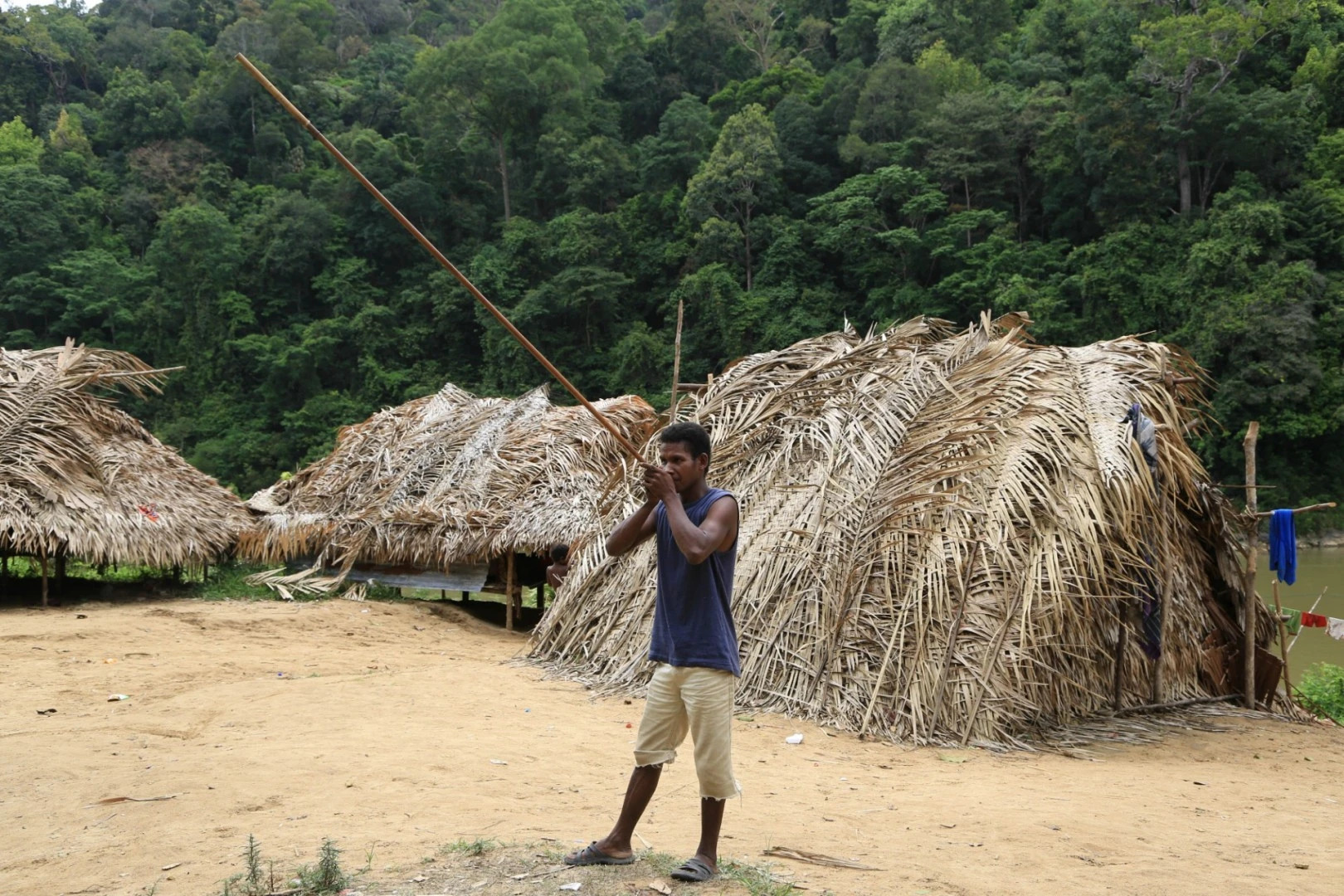 Mutiara Taman Negara
