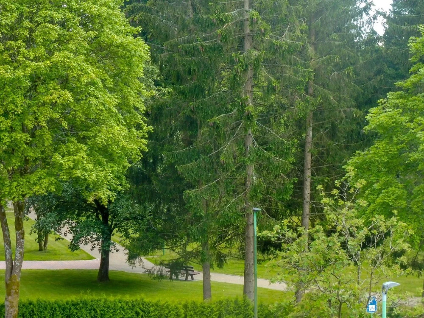 Oberharz Altenau in Altenau