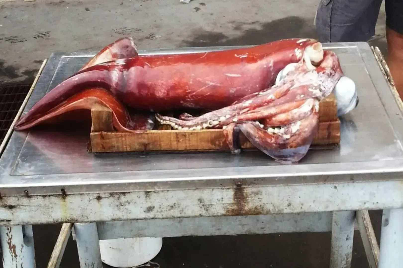 Smart Apartment by the Sea near Palermo, Sicily