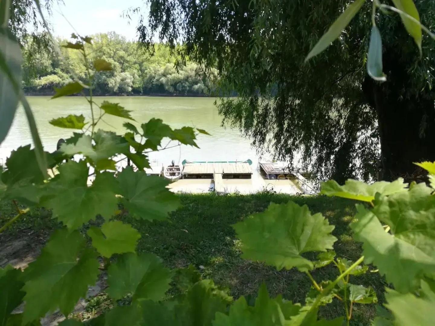 Tiszavirág Vendégház