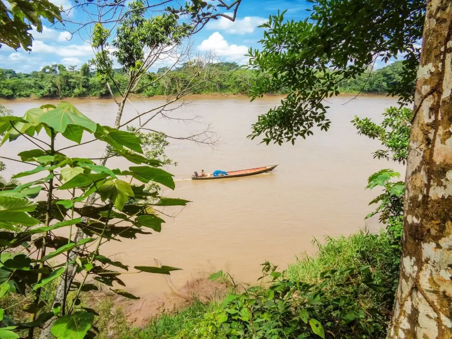Tambopata River