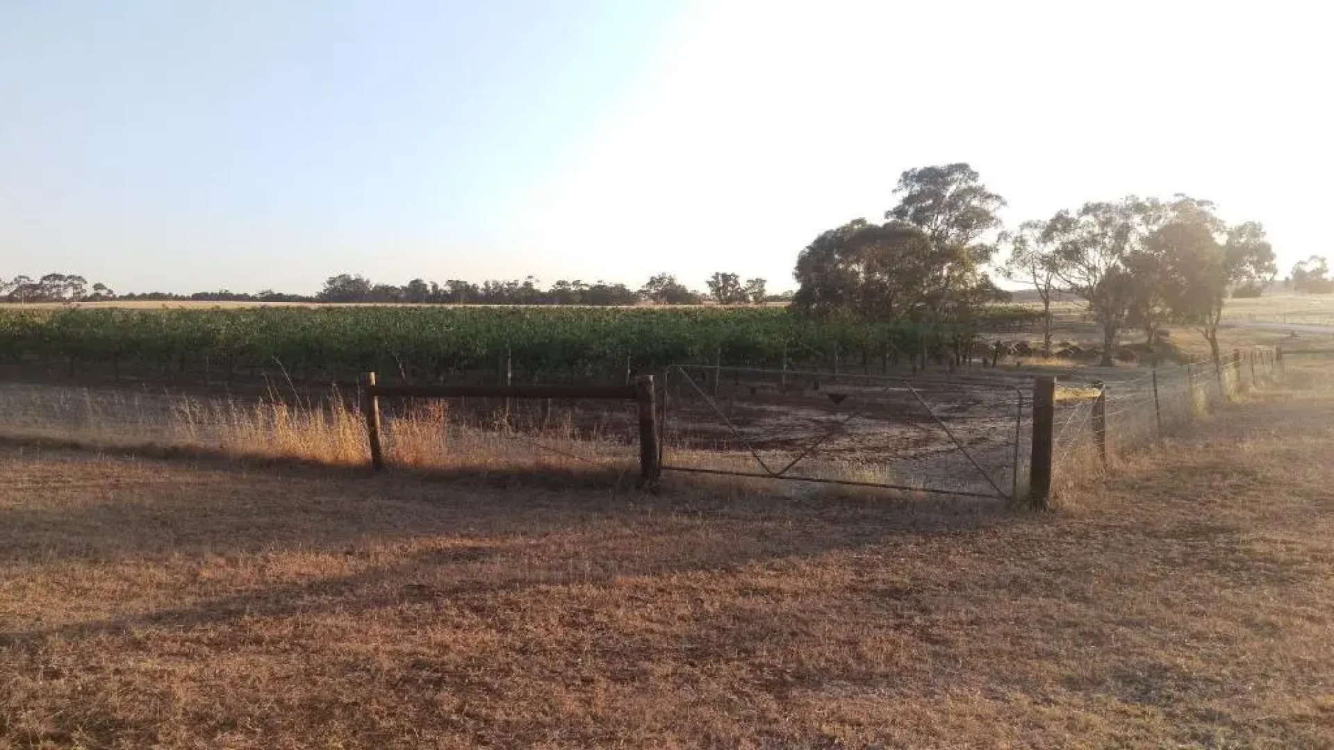 The Cottage at Riverside Farm