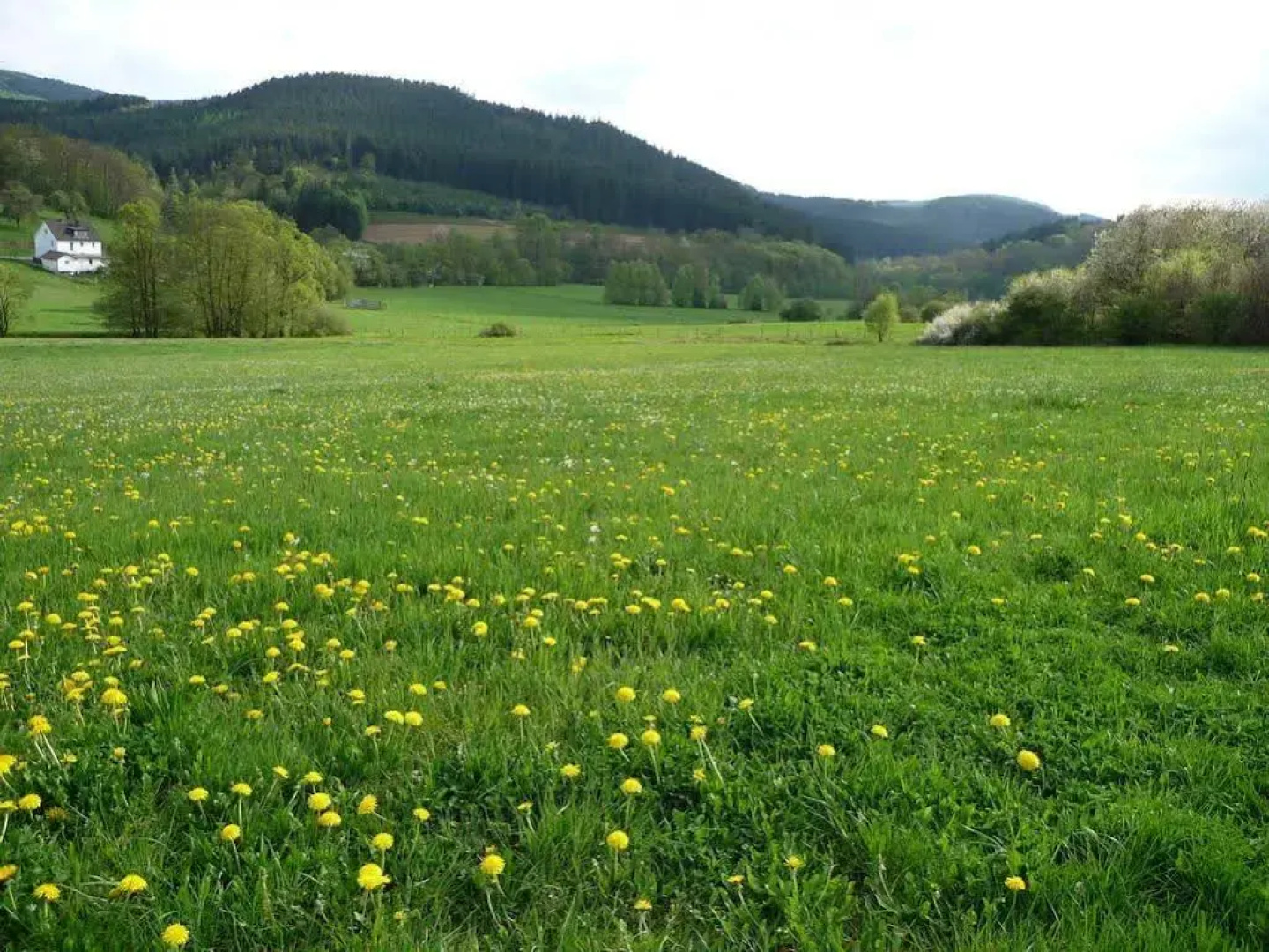 Landhaus Lenneper-Führt