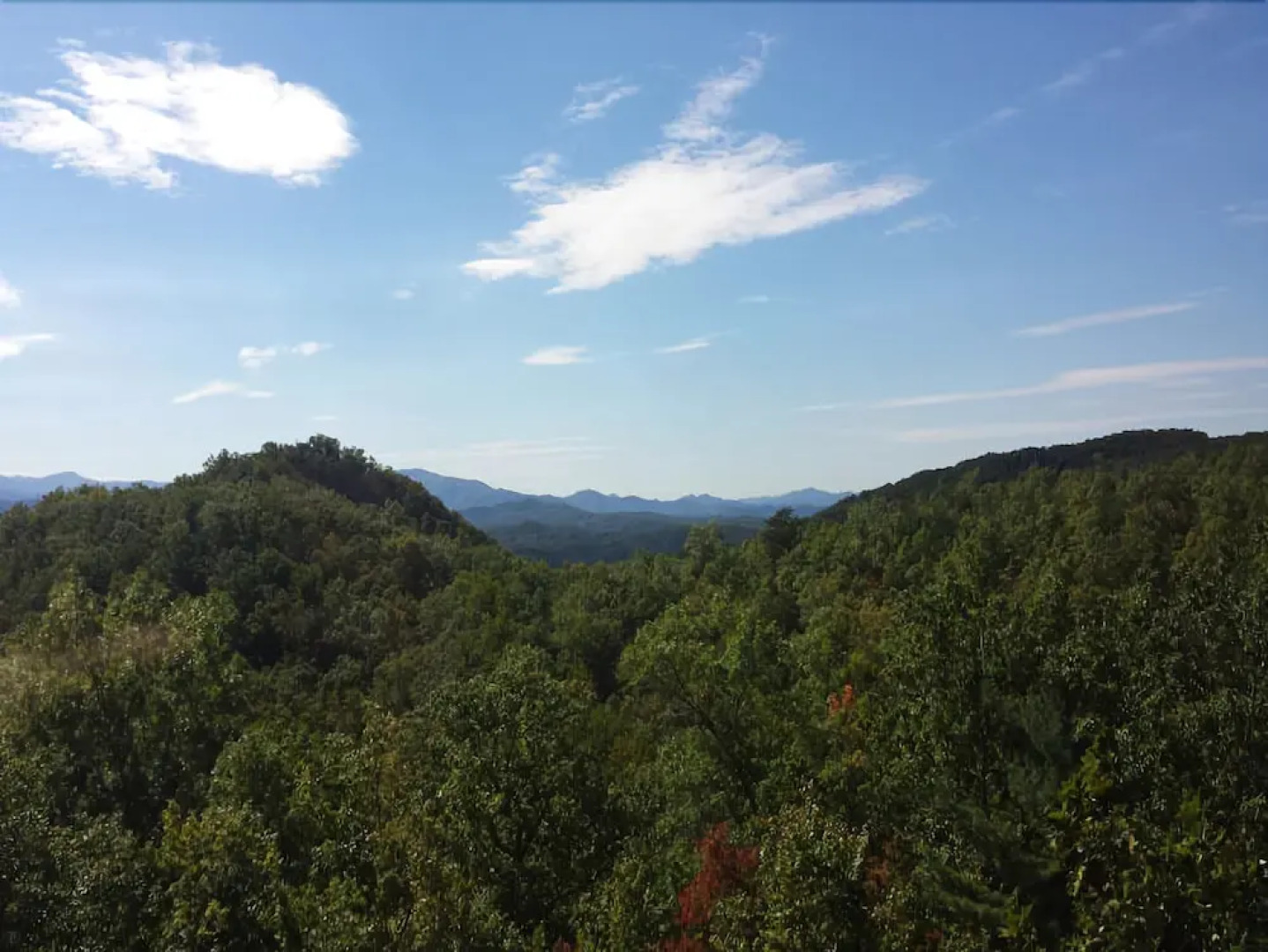 Big Bear Lodge - Five Bedroom Cabin